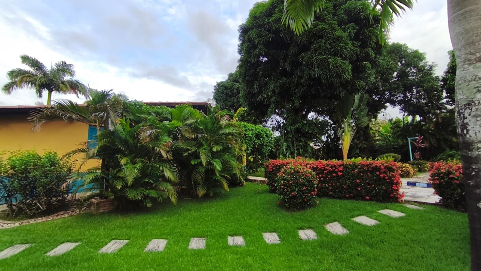 Chácara, 6 quartos, 2 hectares - Foto 6