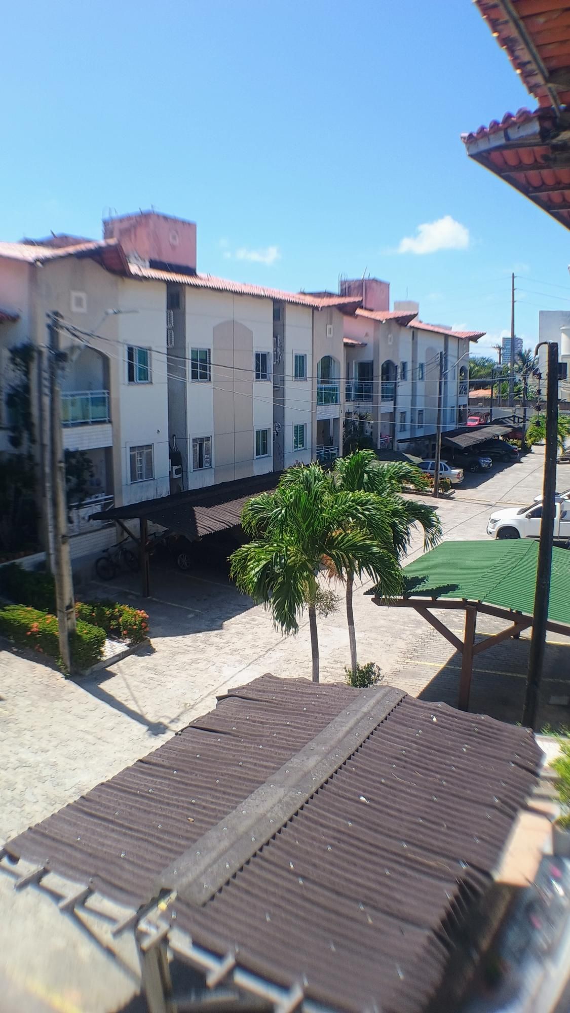 img70434282