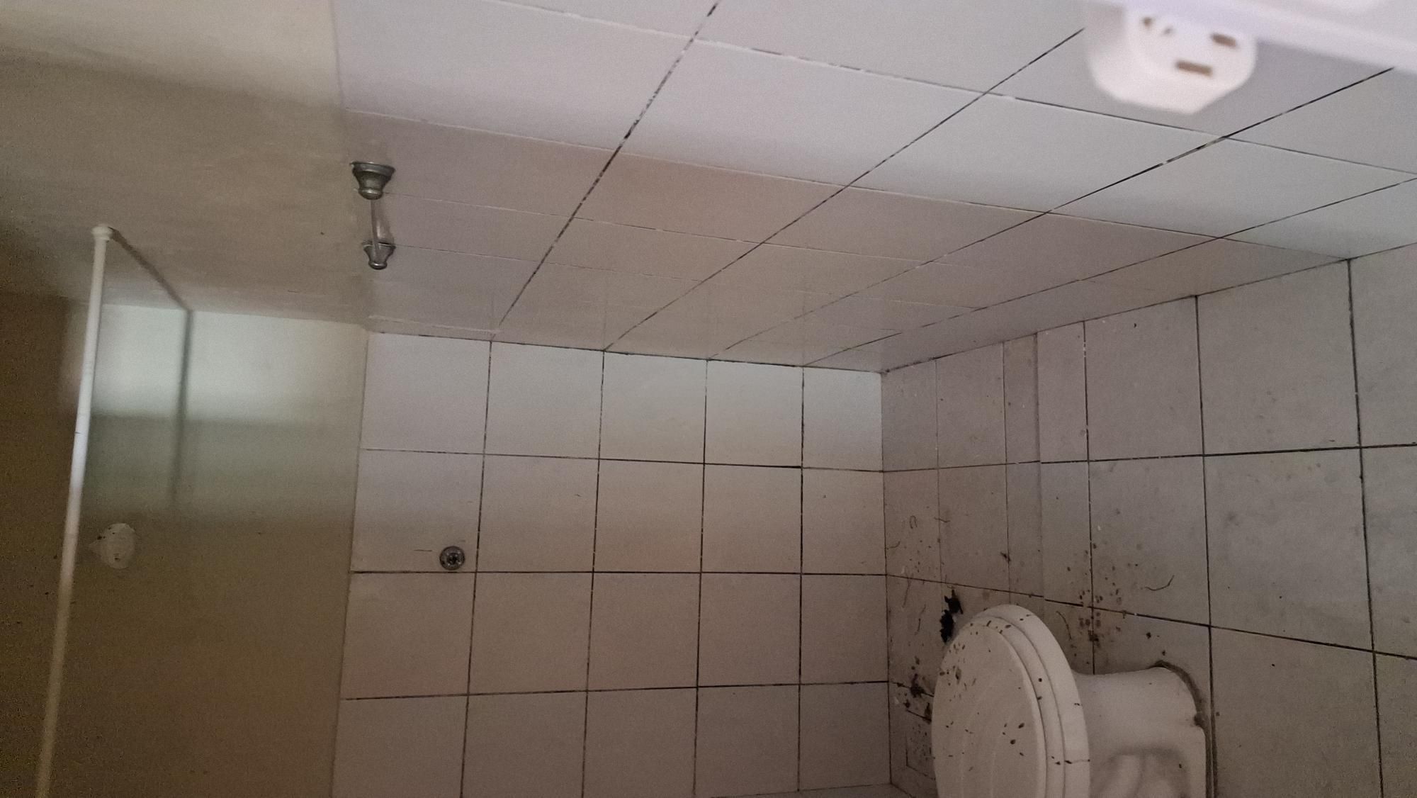 Casa, 2 quartos, 50 m² - Foto 14