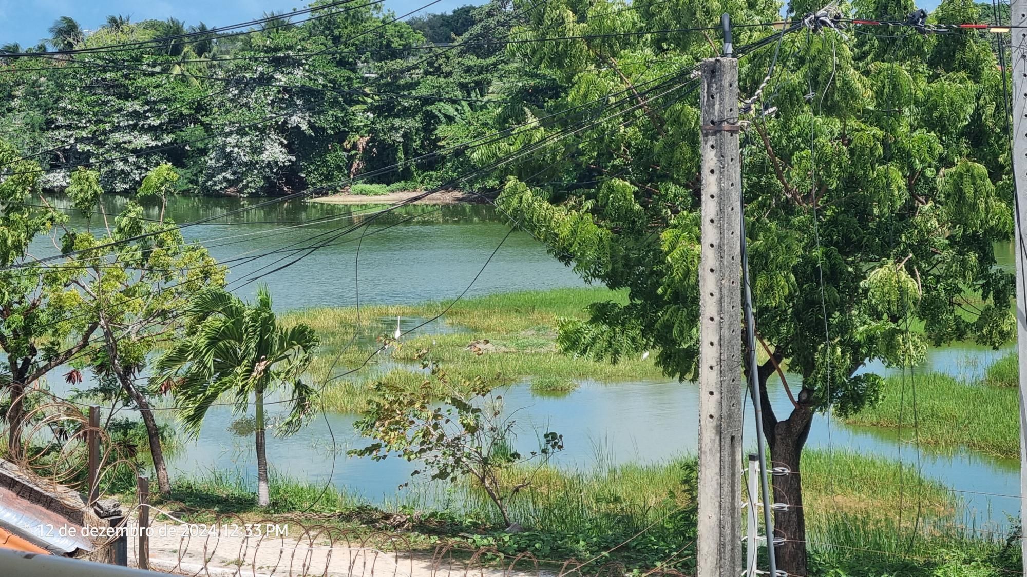 img171770921