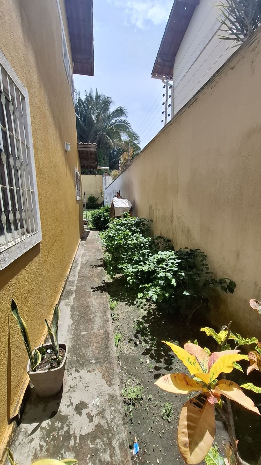 img227739311