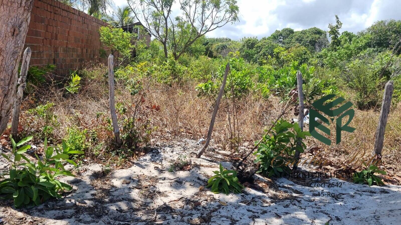 Terreno, 1584 m² - Foto 7