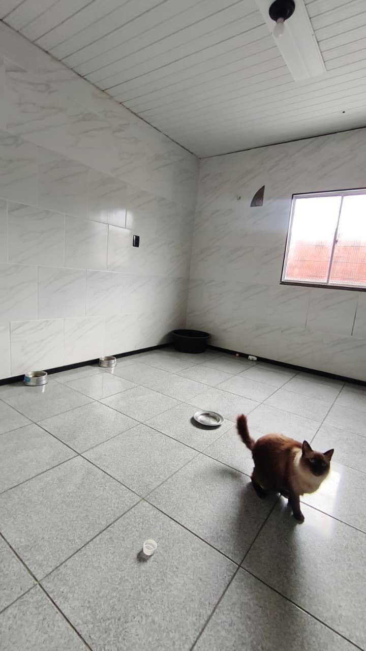 Casa, 6 quartos, 300 m² - Foto 21