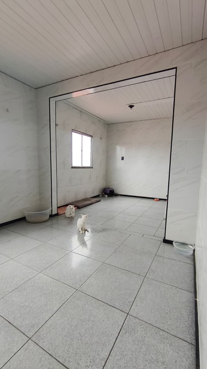 Casa, 6 quartos, 300 m² - Foto 22