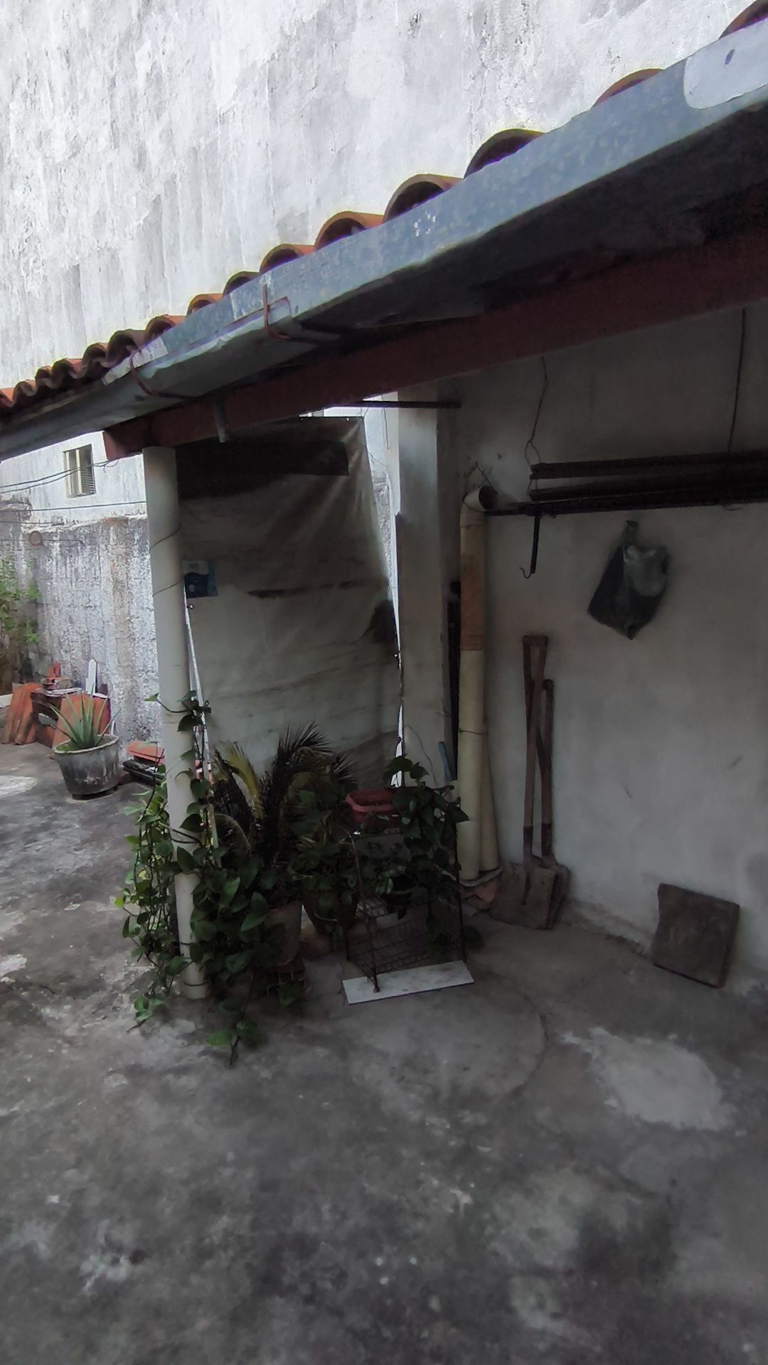 Casa, 5 quartos, 295 m² - Foto 51