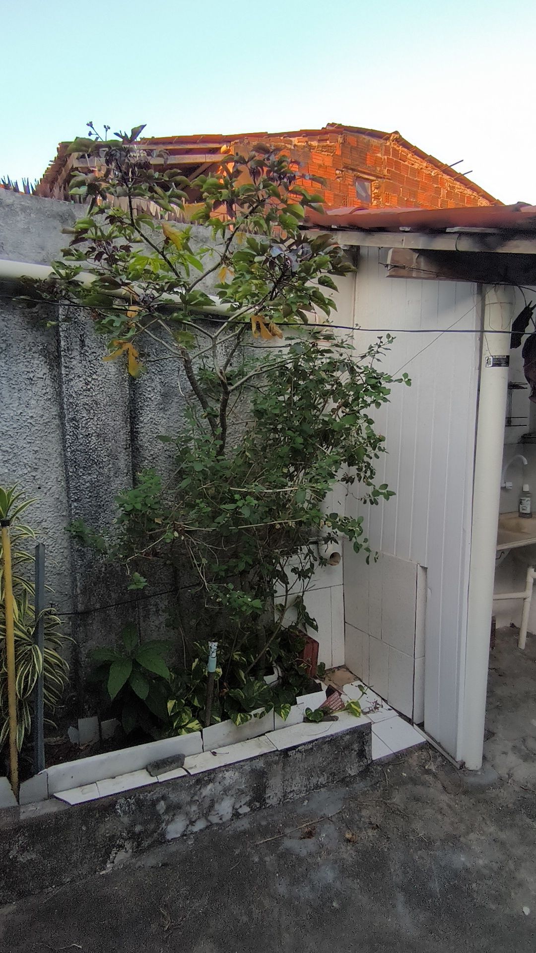 Casa, 5 quartos, 295 m² - Foto 43