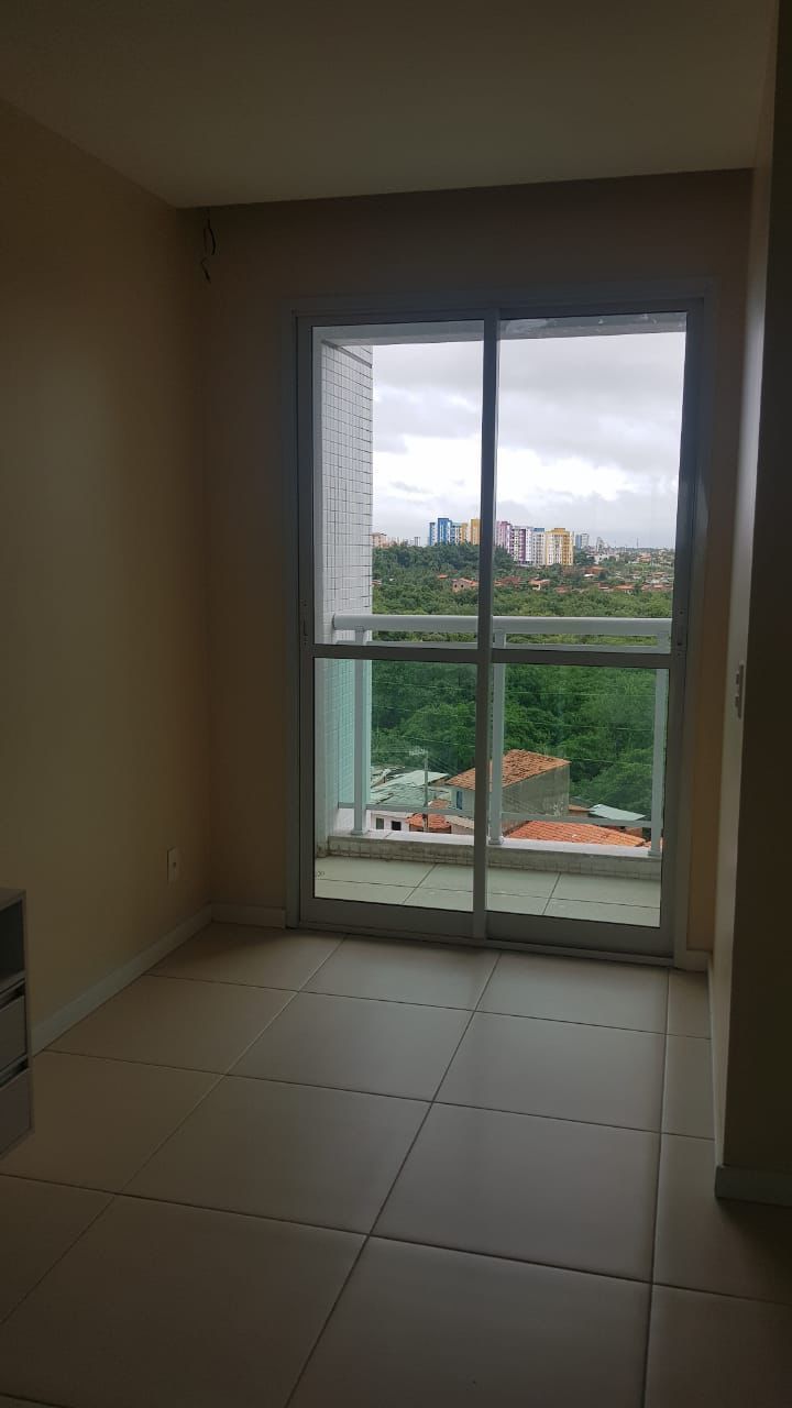 img100520784