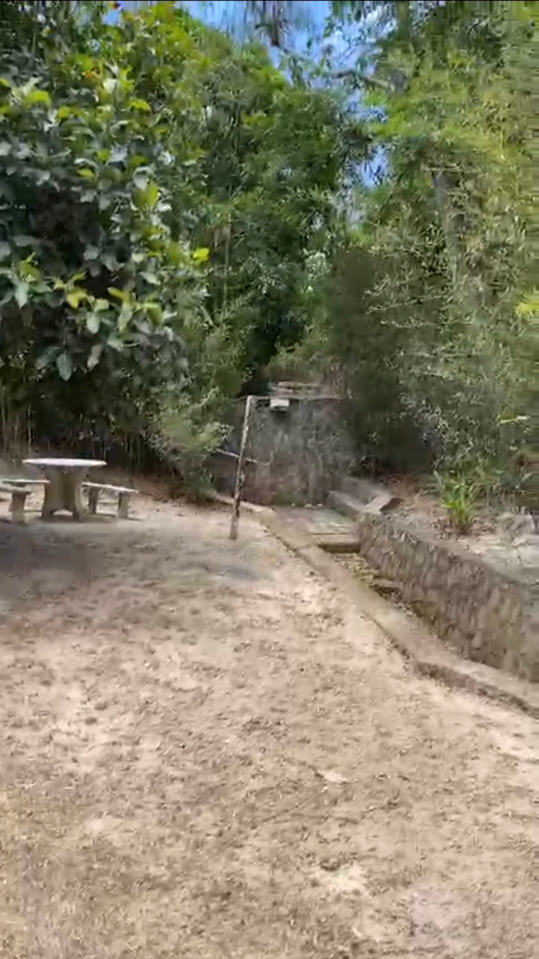 Chácara, 5 quartos, 33 hectares - Foto 46