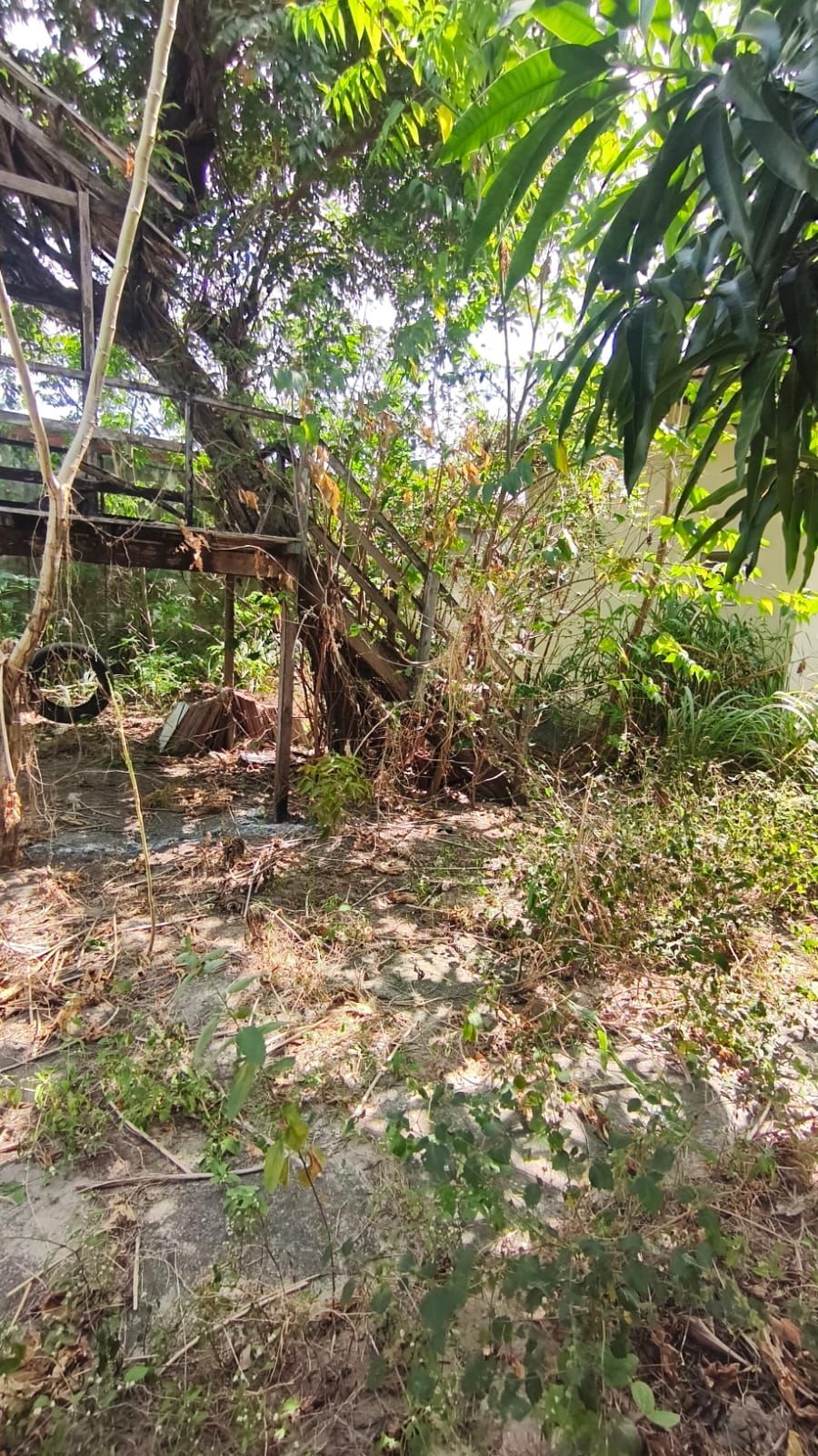 Casa, 3 quartos, 468 m² - Foto 23