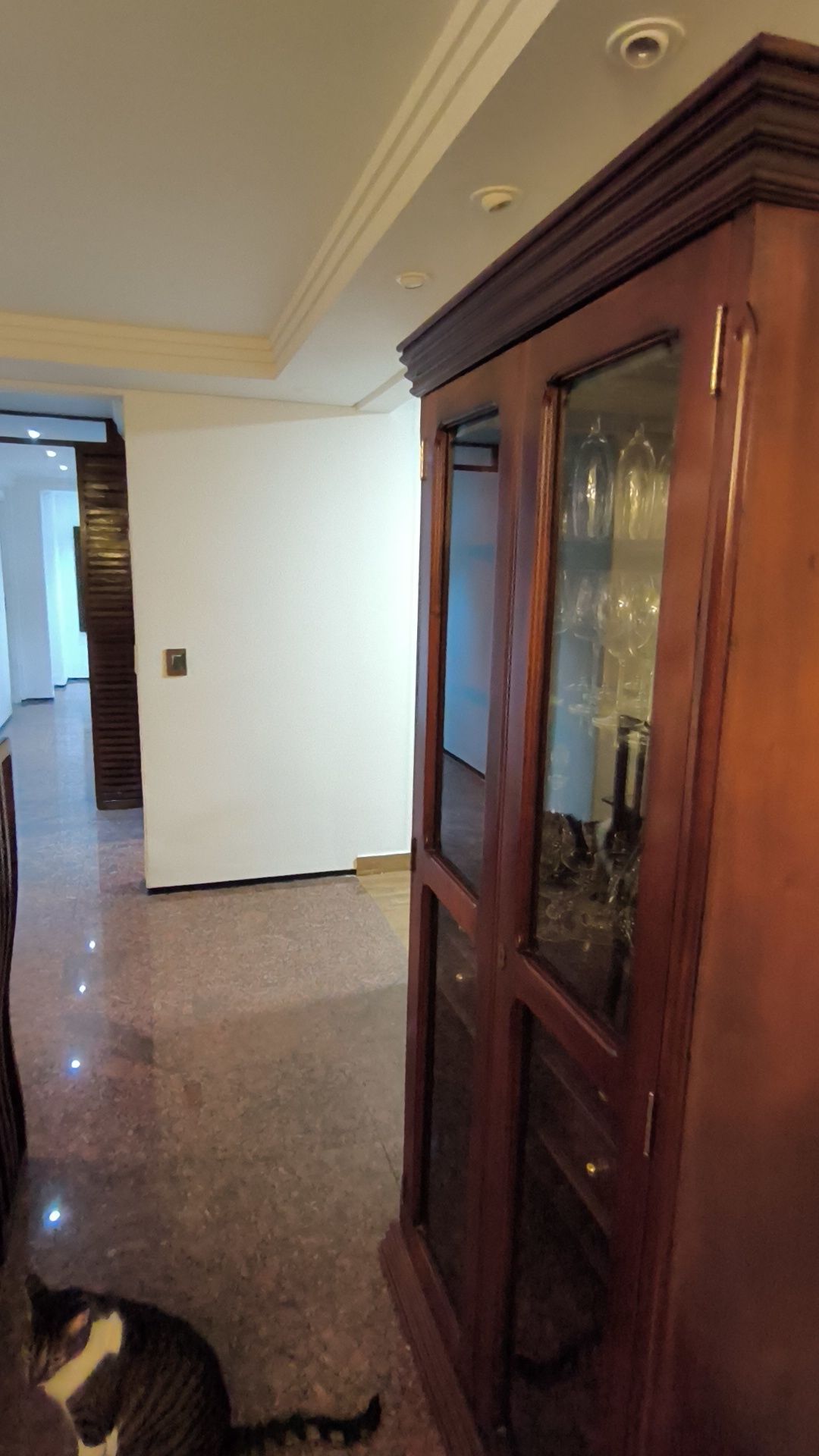 Apartamento, 4 quartos, 225 m² - Foto 33