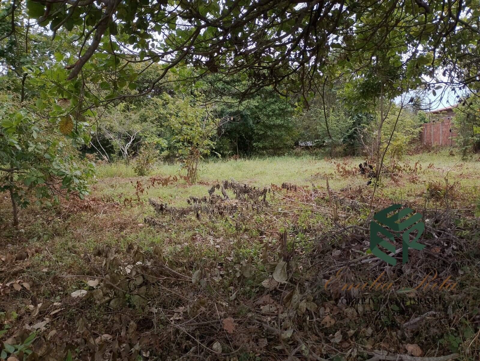 Terreno, 2880 m² - Foto 2