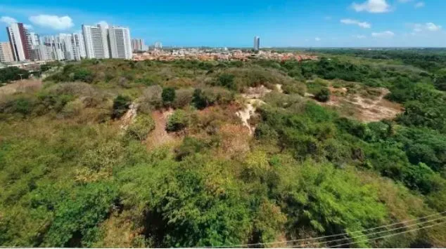 Apartamento, 4 quartos, 232 m² - Foto 18