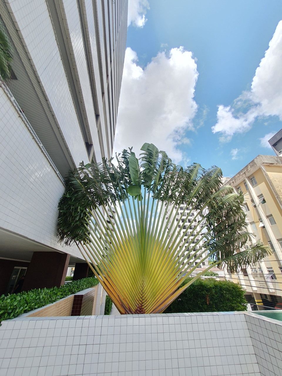 Apartamento, 4 quartos, 98 m² - Foto 13