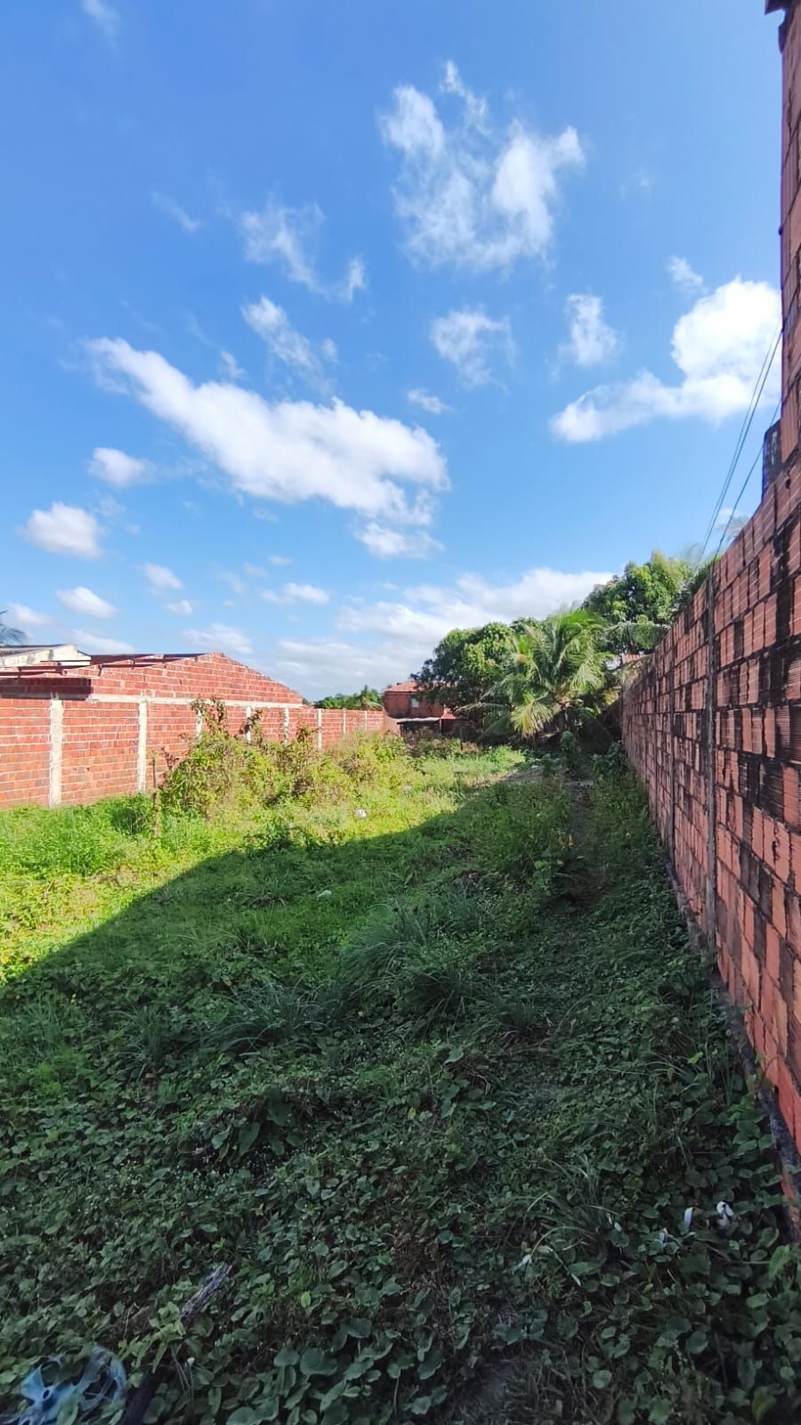 Terreno, 214 m² - Foto 2