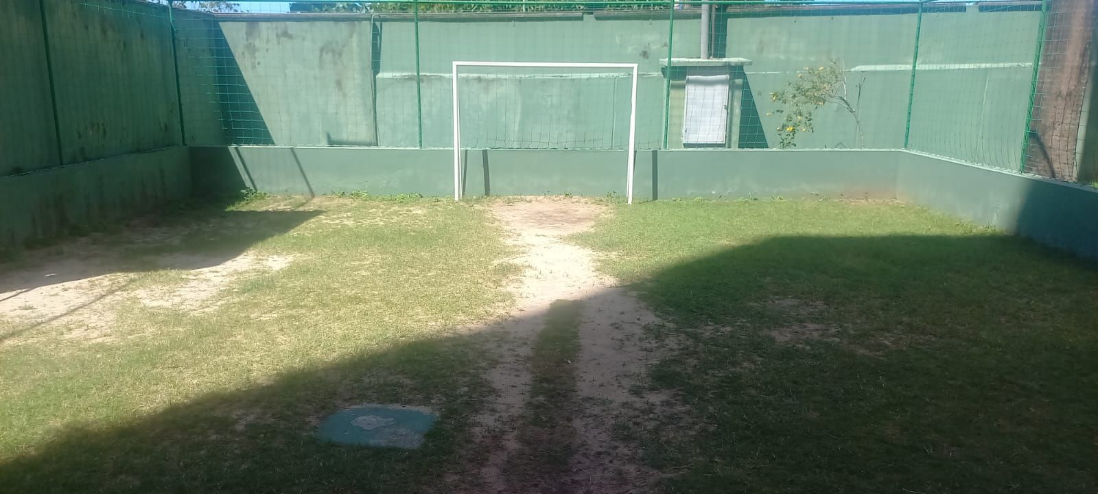 img129313840