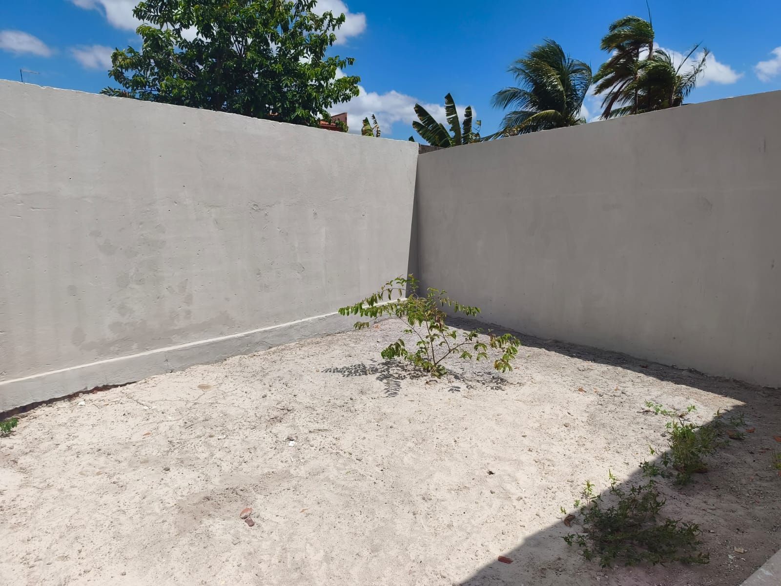 Casa, 2 quartos, 40 m² - Foto 8