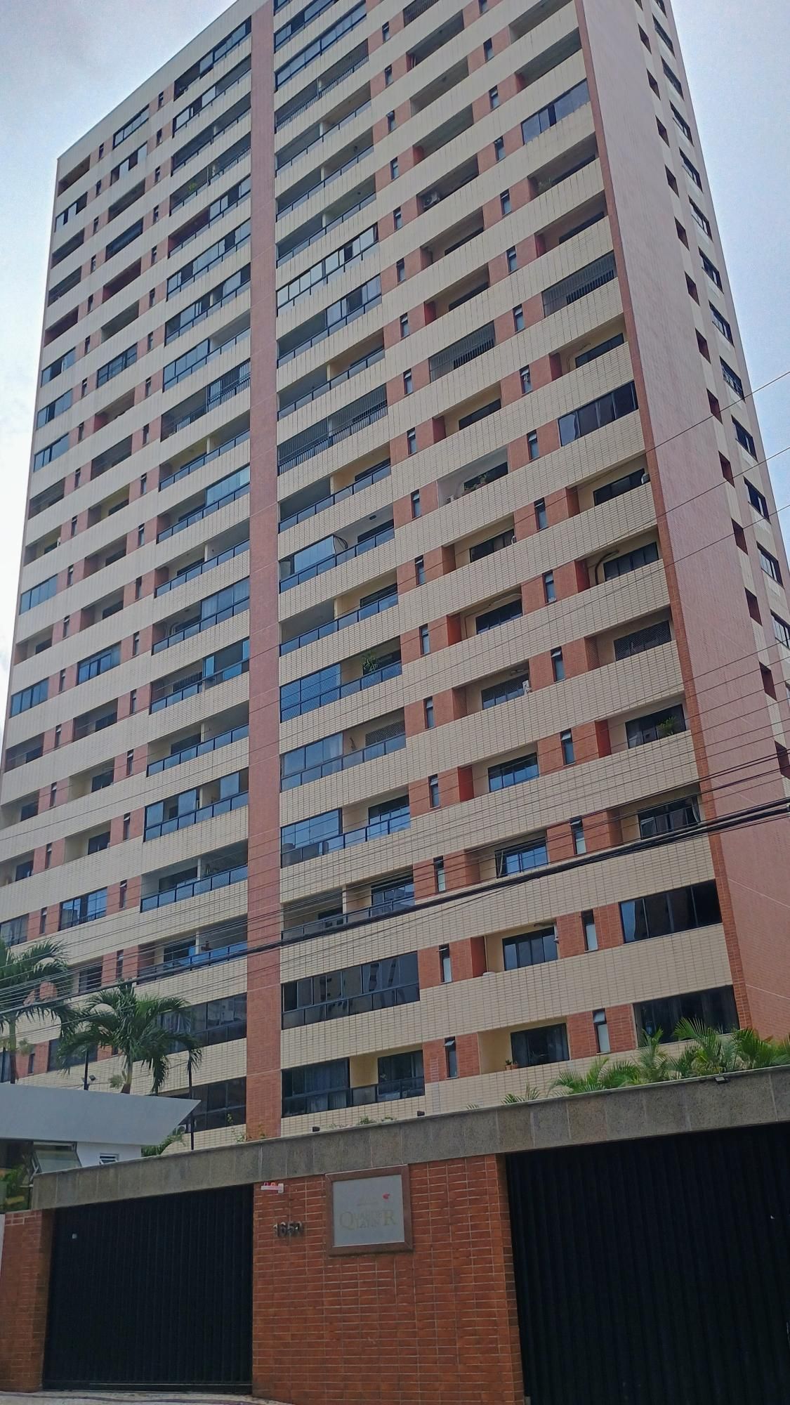 img254576501