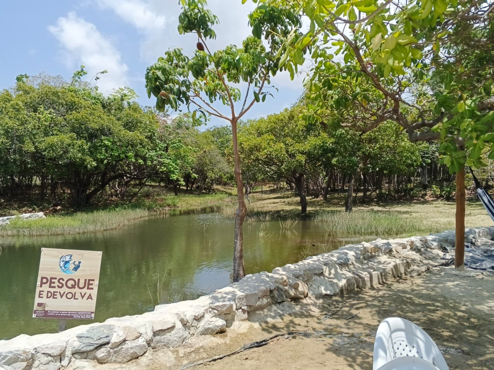 Terreno, 431 m² - Foto 5