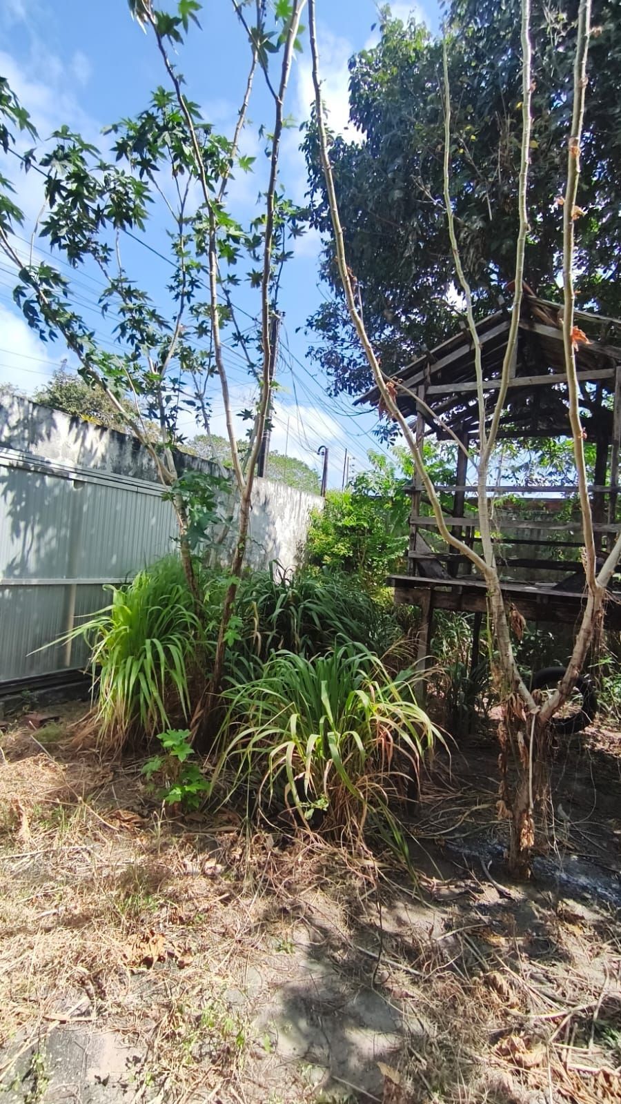 Casa, 3 quartos, 468 m² - Foto 22