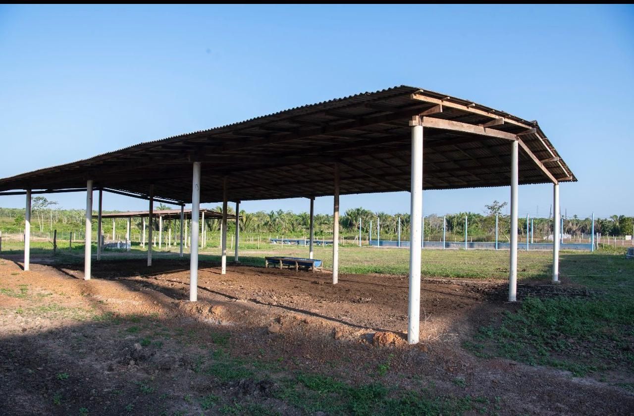 Fazenda/Sítios/Chácaras de 4 quartos, no bairro Zona Rural, em Bacabeira | Eu Corretor
