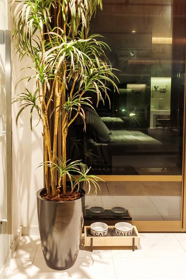 Apartamento, 1 quarto, 37 m² - Foto 10