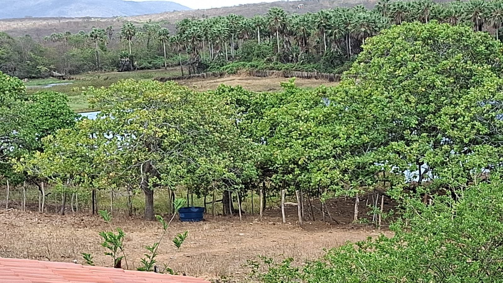 Fazenda, 300 m² - Foto 4