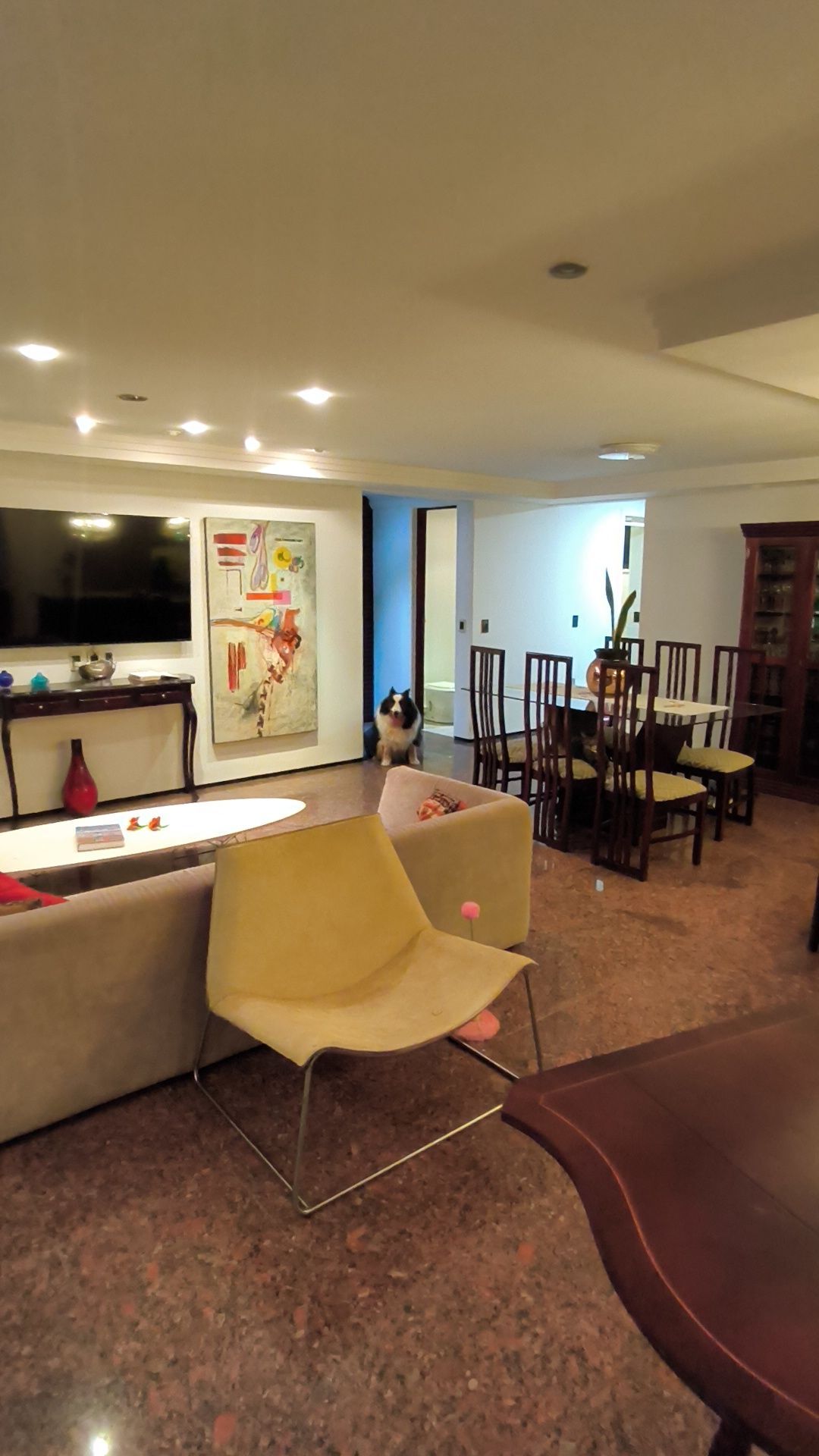 Apartamento, 4 quartos, 225 m² - Foto 3