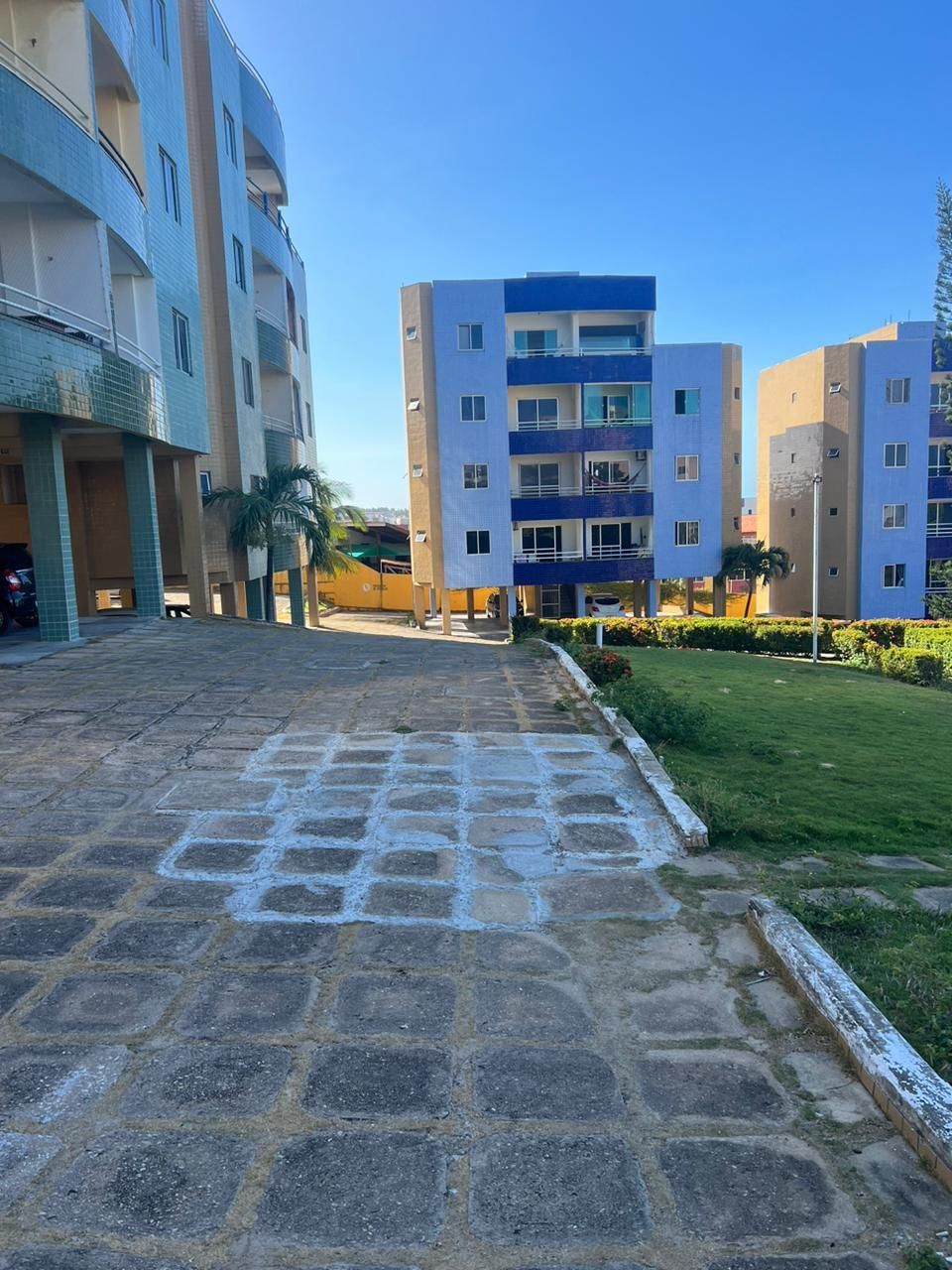 img223395701