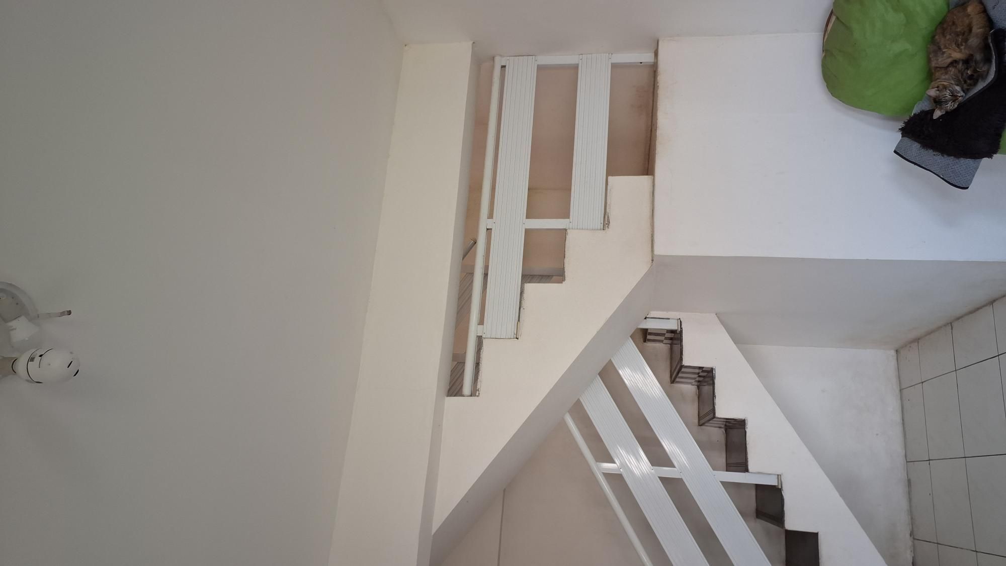 Casa, 4 quartos, 360 m² - Foto 5