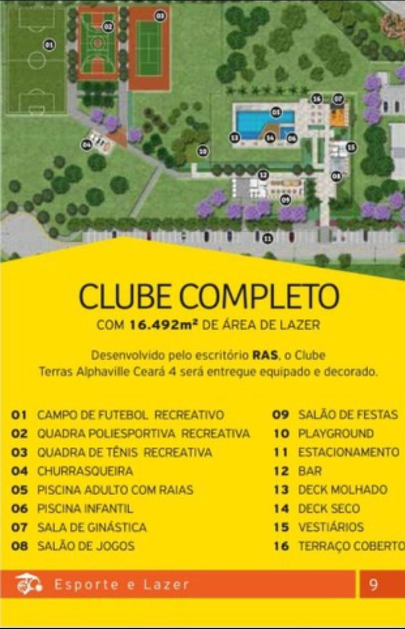 img253038462