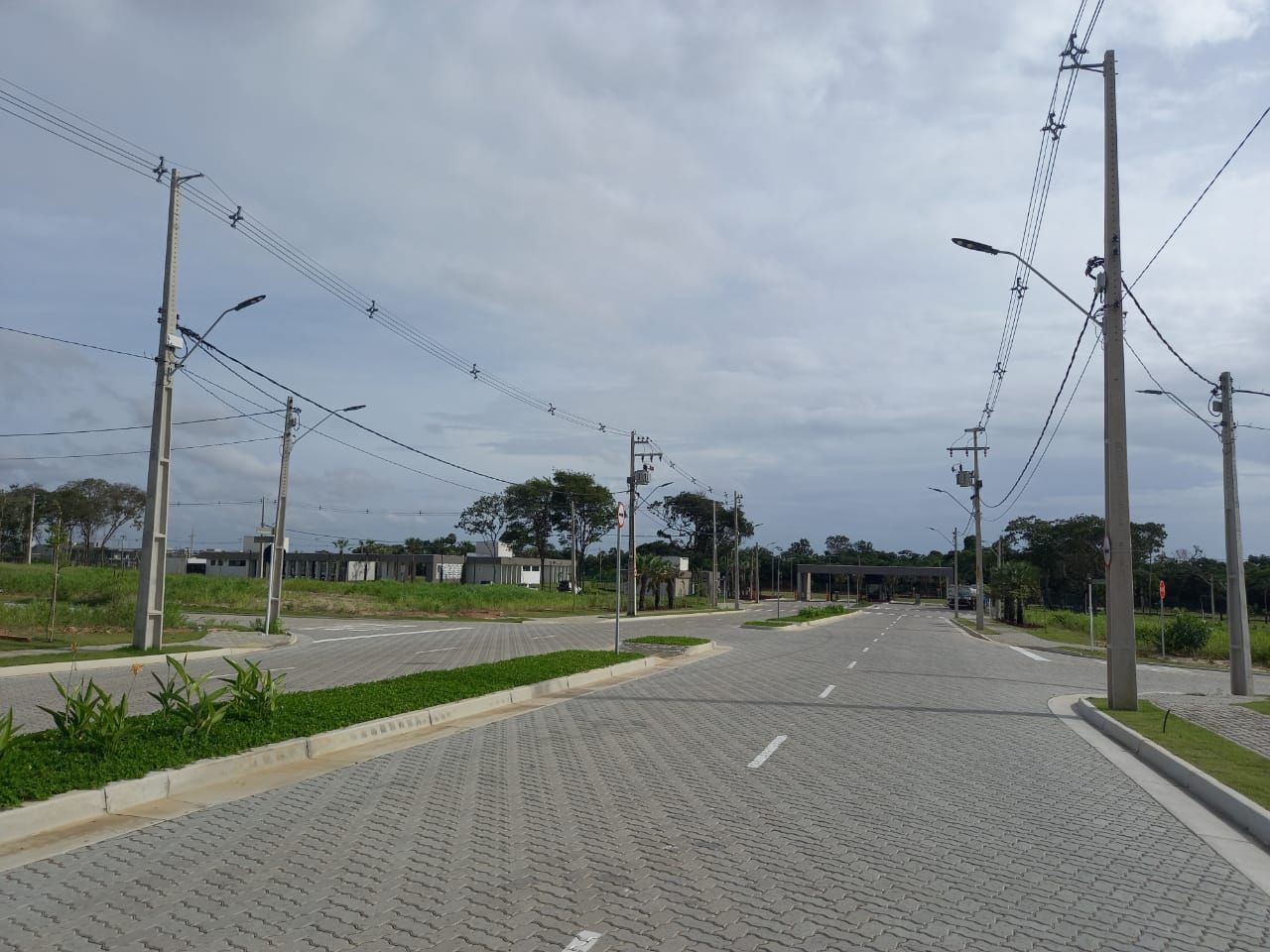 img253038452