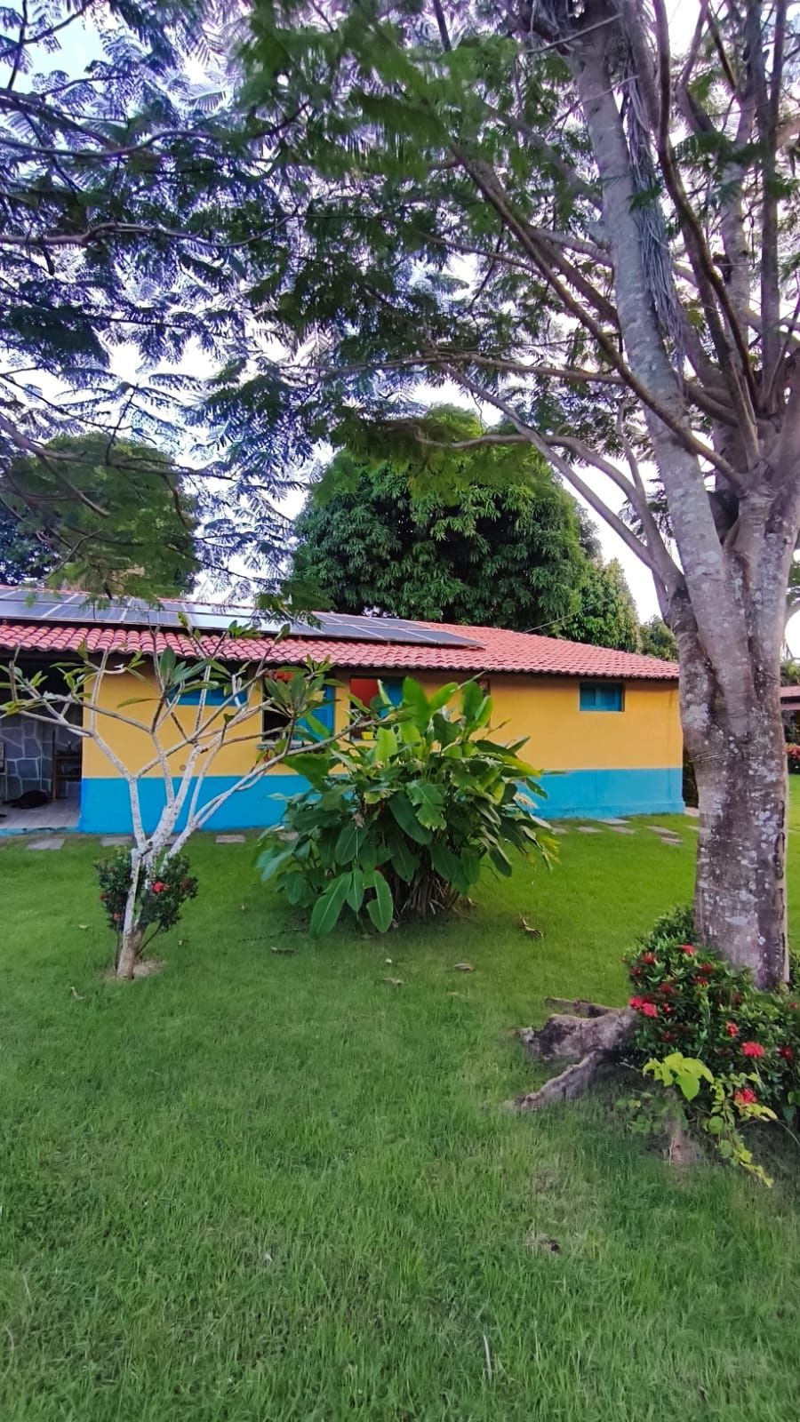 Chácara, 6 quartos, 2 hectares - Foto 3