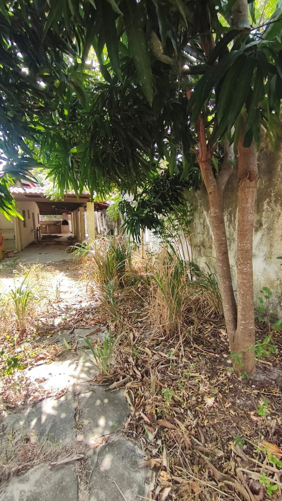 Casa, 3 quartos, 468 m² - Foto 18
