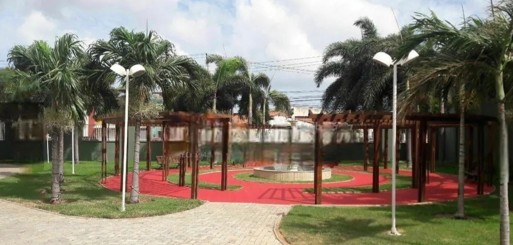 img227247988