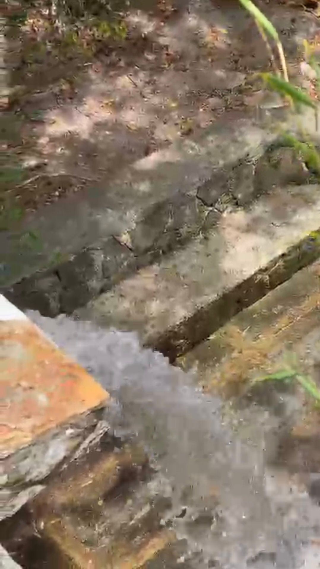 Chácara, 5 quartos, 33 hectares - Foto 45