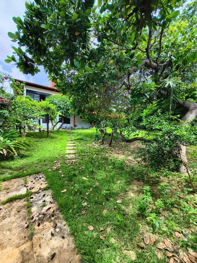 Casa, 5 quartos, 531 m² - Foto 12