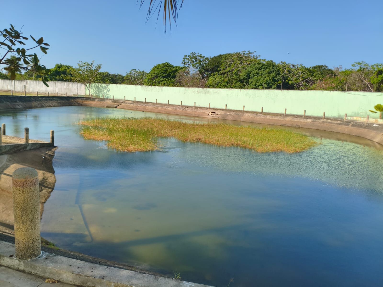 Chácara, 3 quartos, 2 hectares - Foto 4