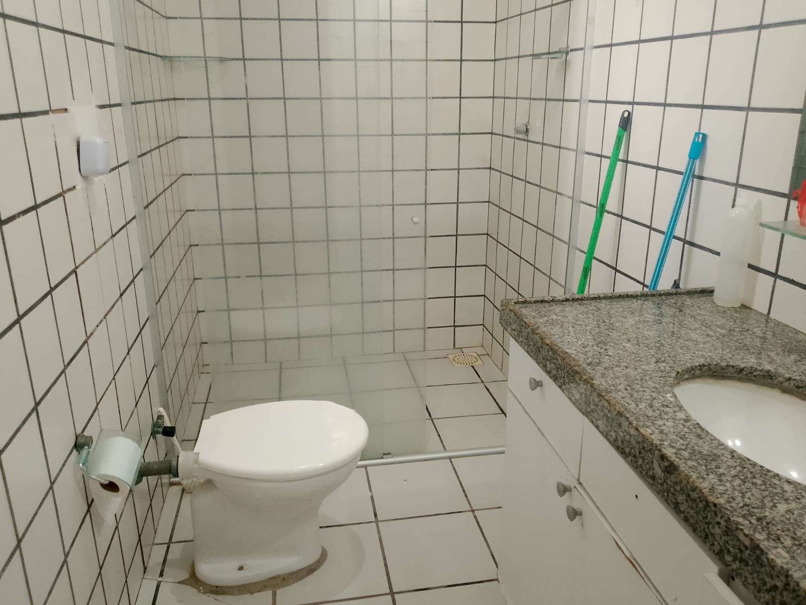 Casa, 4 quartos, 262 m² - Foto 4