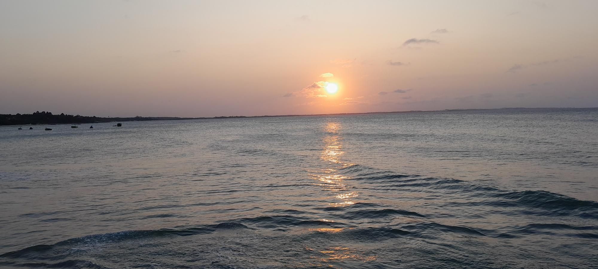img56946344