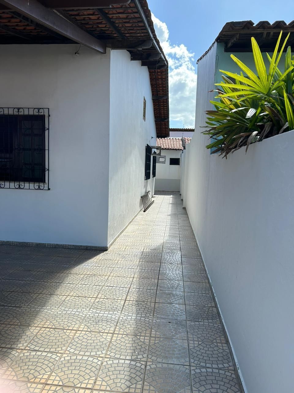 img157304682