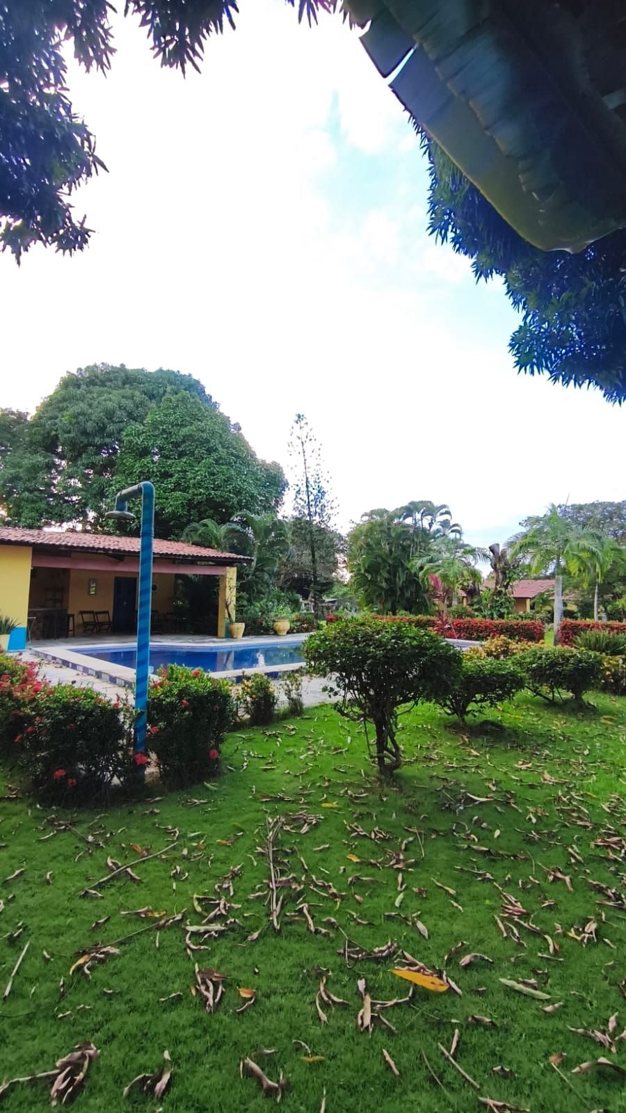 Chácara, 6 quartos, 2 hectares - Foto 4