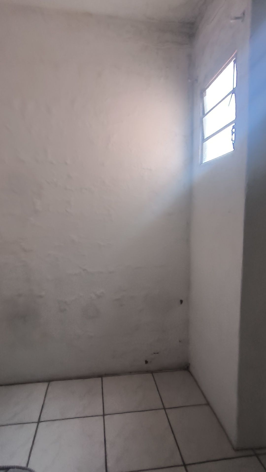 Casa, 3 quartos, 165 m² - Foto 38