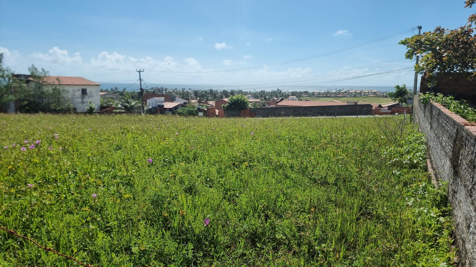 Terreno, 1325 m² - Foto 13