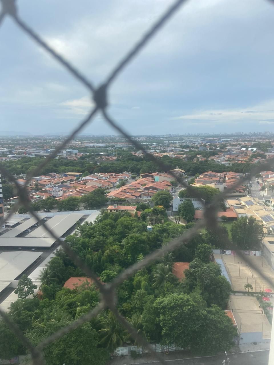 img76834209