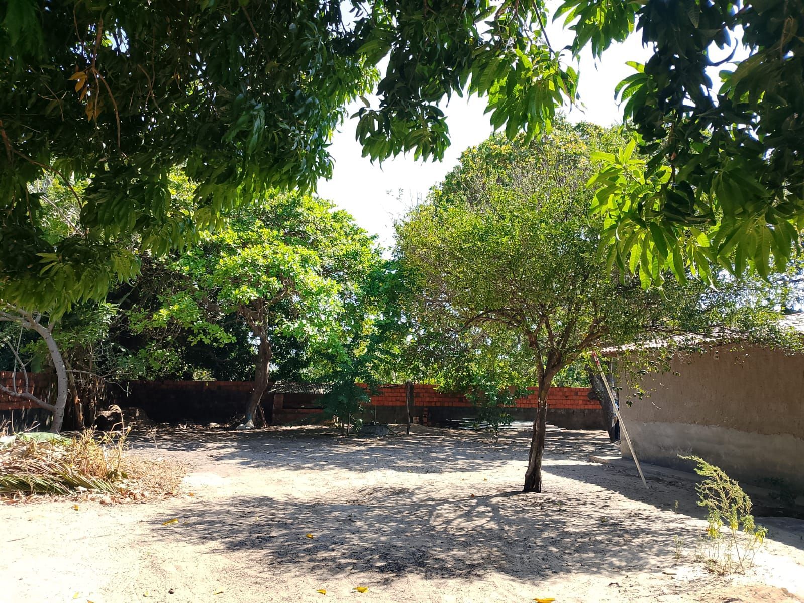 Chácara, 2 quartos, 1500 m² - Foto 3