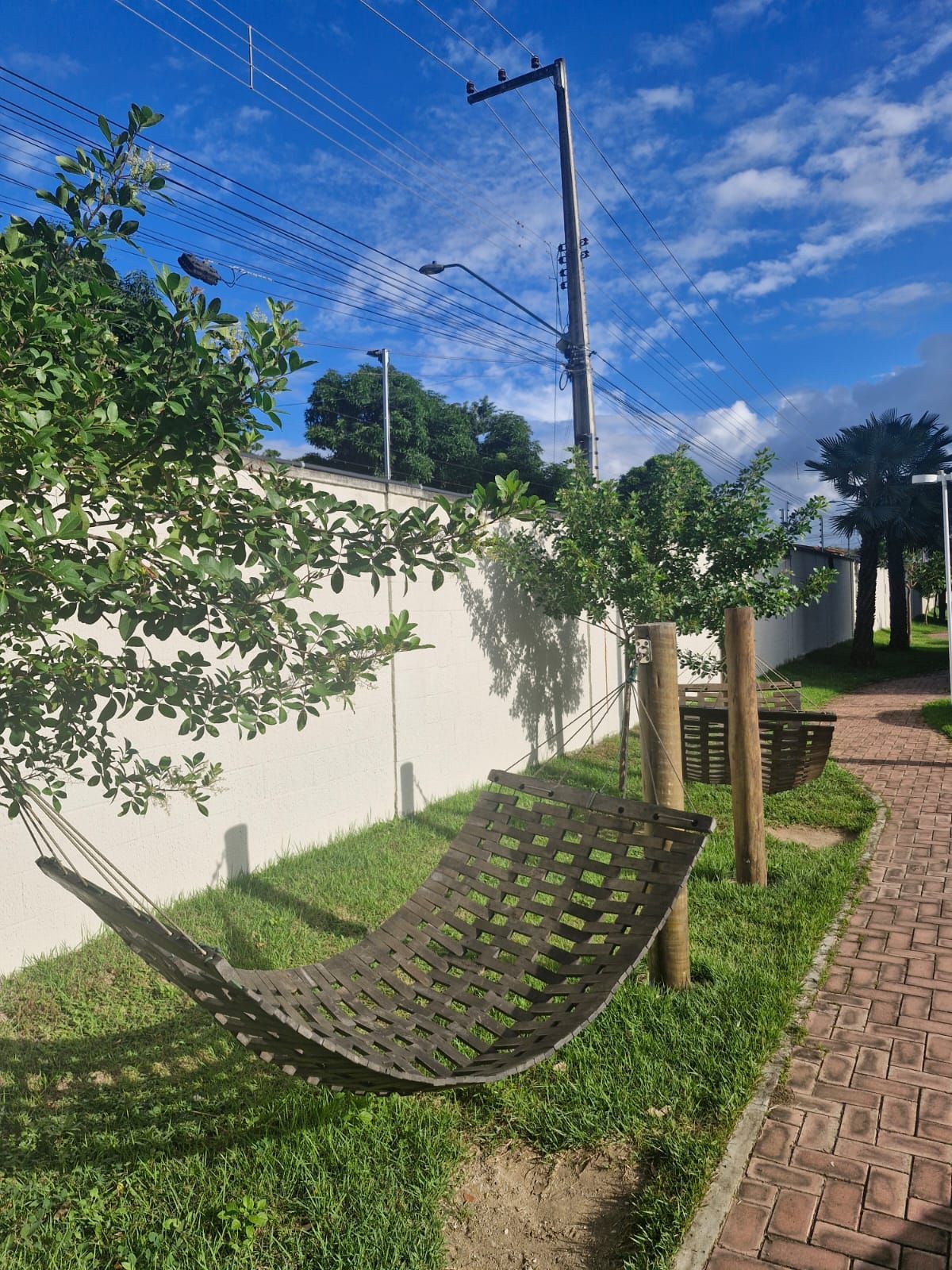 img131349329