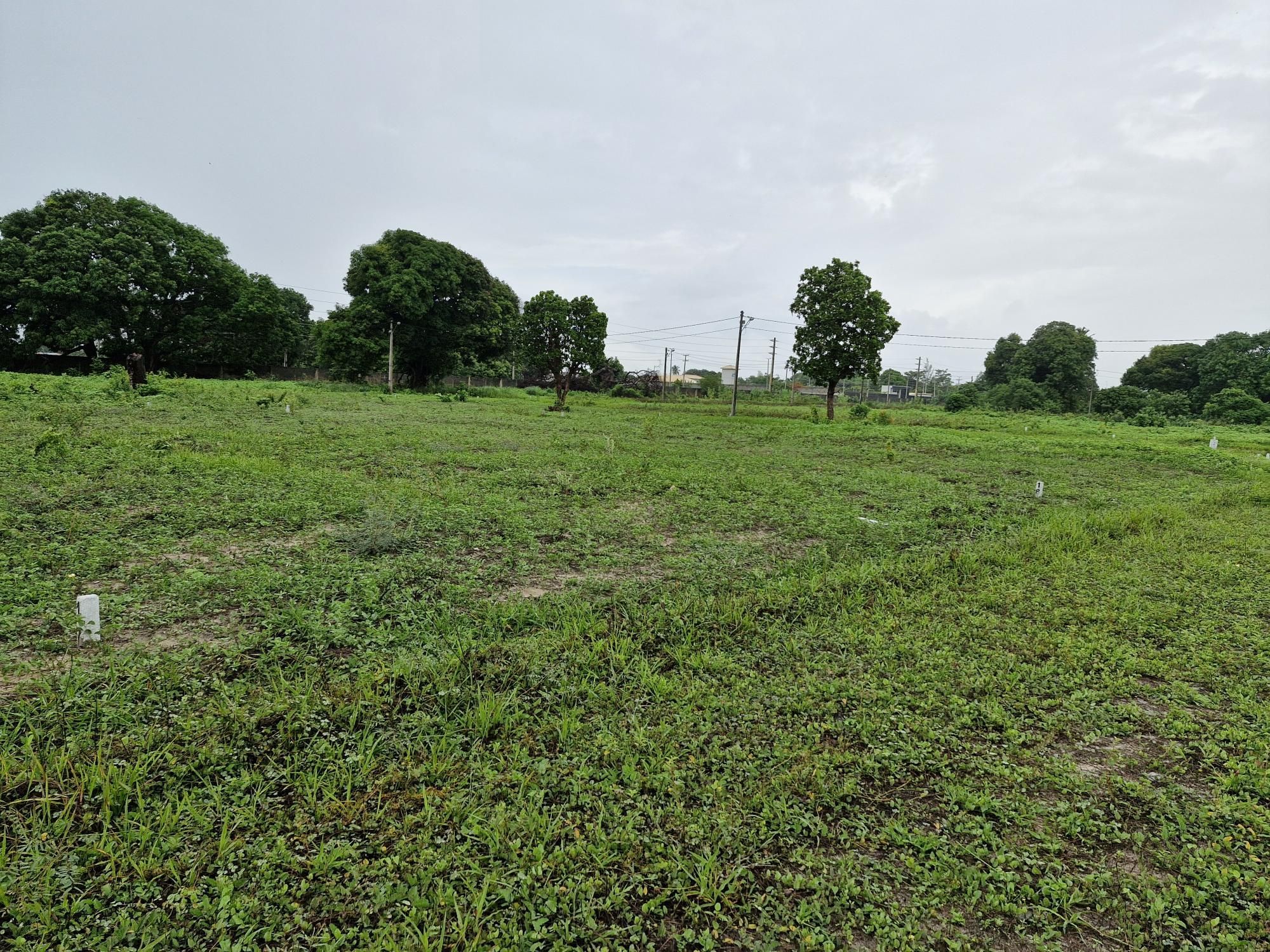 Lote/Terreno de 450m² no bairro Centro, em Cascavel | Eu Corretor
