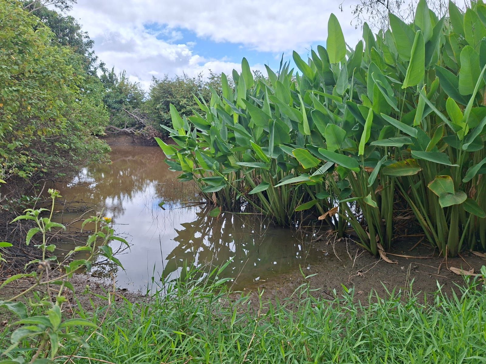 Chácara, 3 quartos, 3 m² - Foto 1