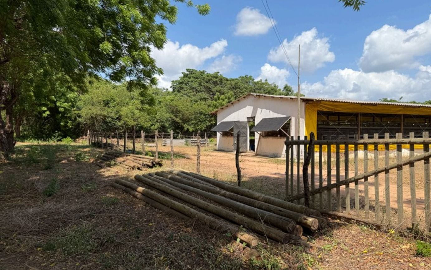 Sala-Conjunto, 246400 m² - Foto 6
