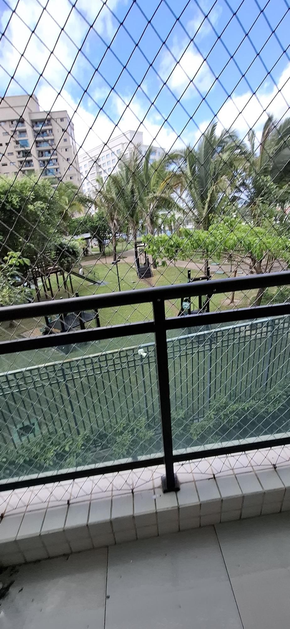 img254652158